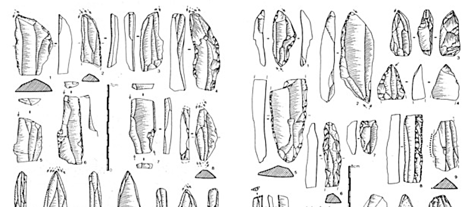 Trouvailles archéologiques à Bourron-Marlotte